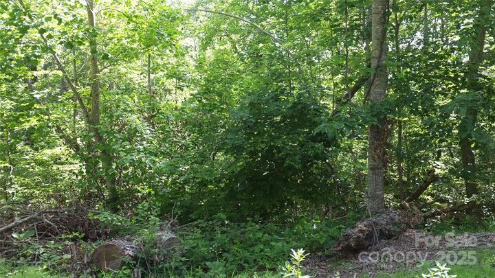 Property Photo:  0 Sunset Ridge Drive Lot #21  NC 28722 