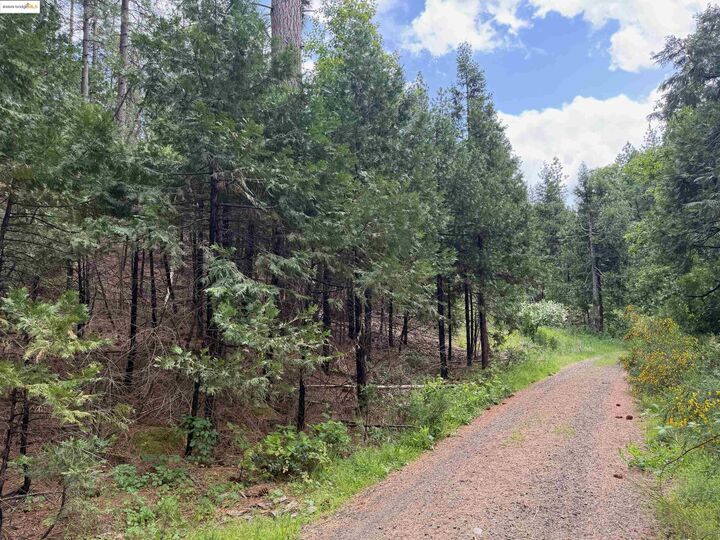 Property Photo: 0000 Cedar Pines Ave CA 95383
