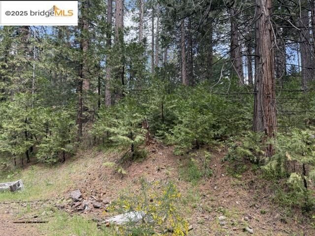 Property Photo:  0000 Cedar Pines Ave  CA 95383 