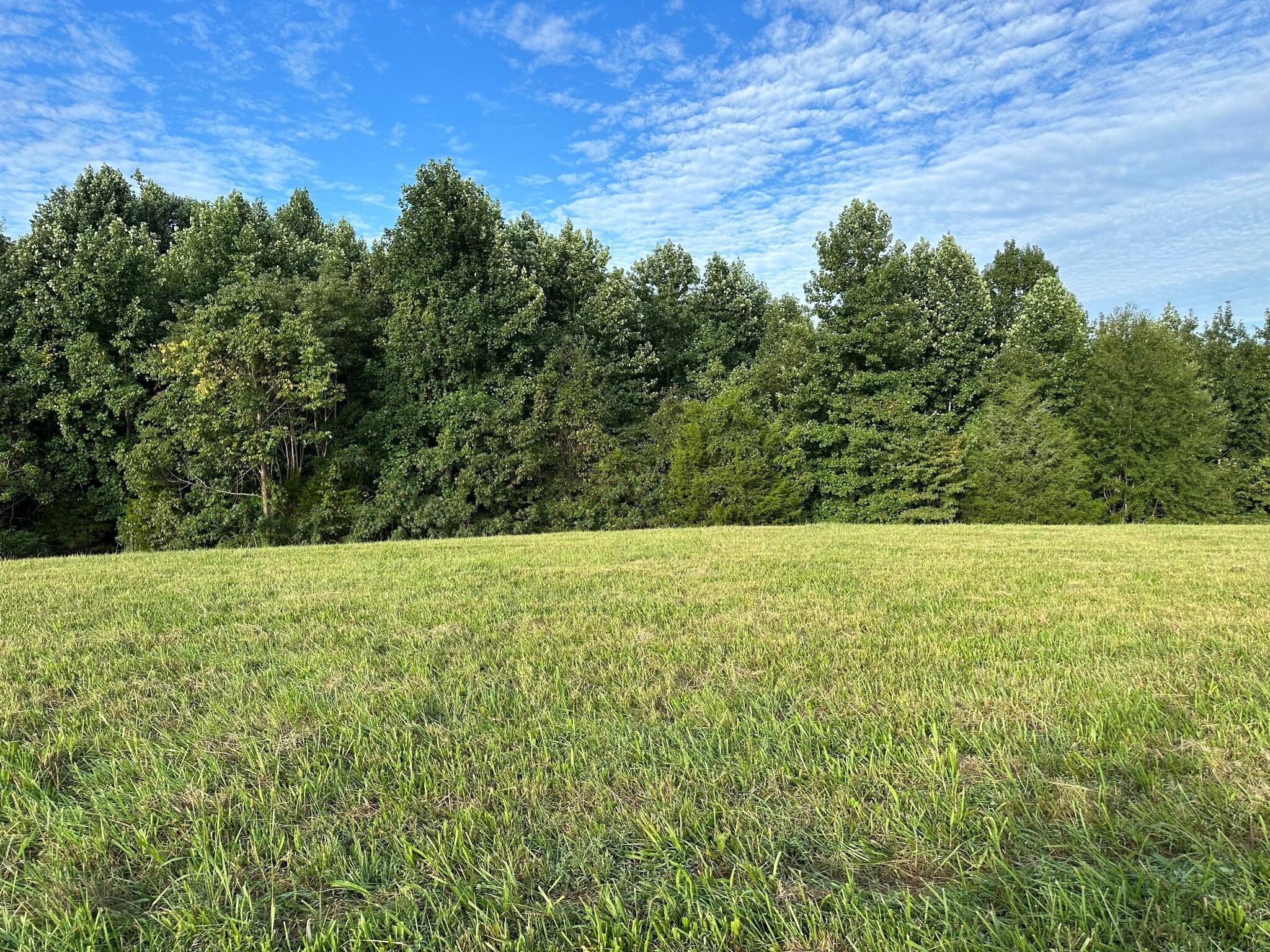 Property Photo: 0 Knob Creek Rd TN 37183