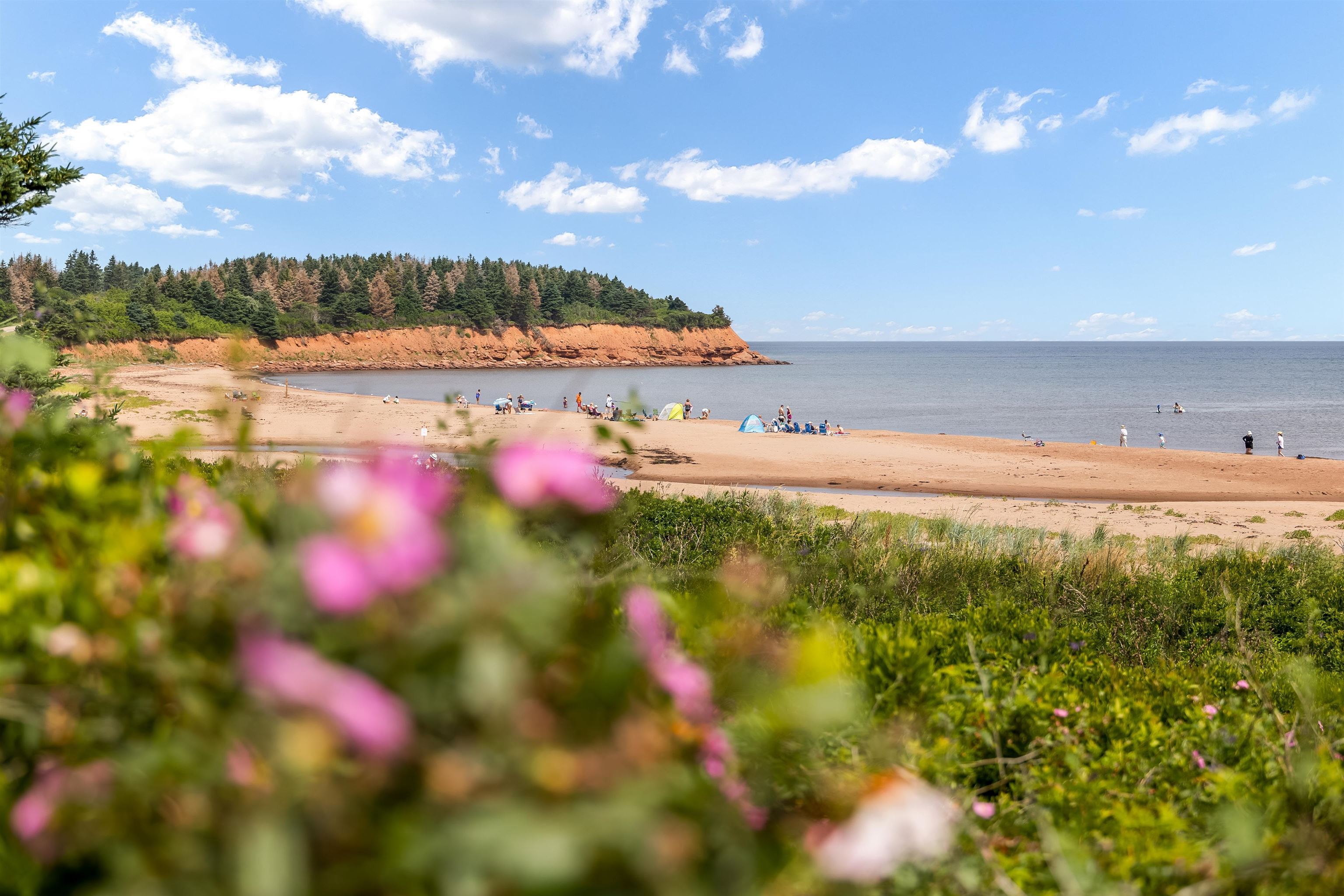 Property Photo: 64 Lantern Hill Drive PE C0A 1N0