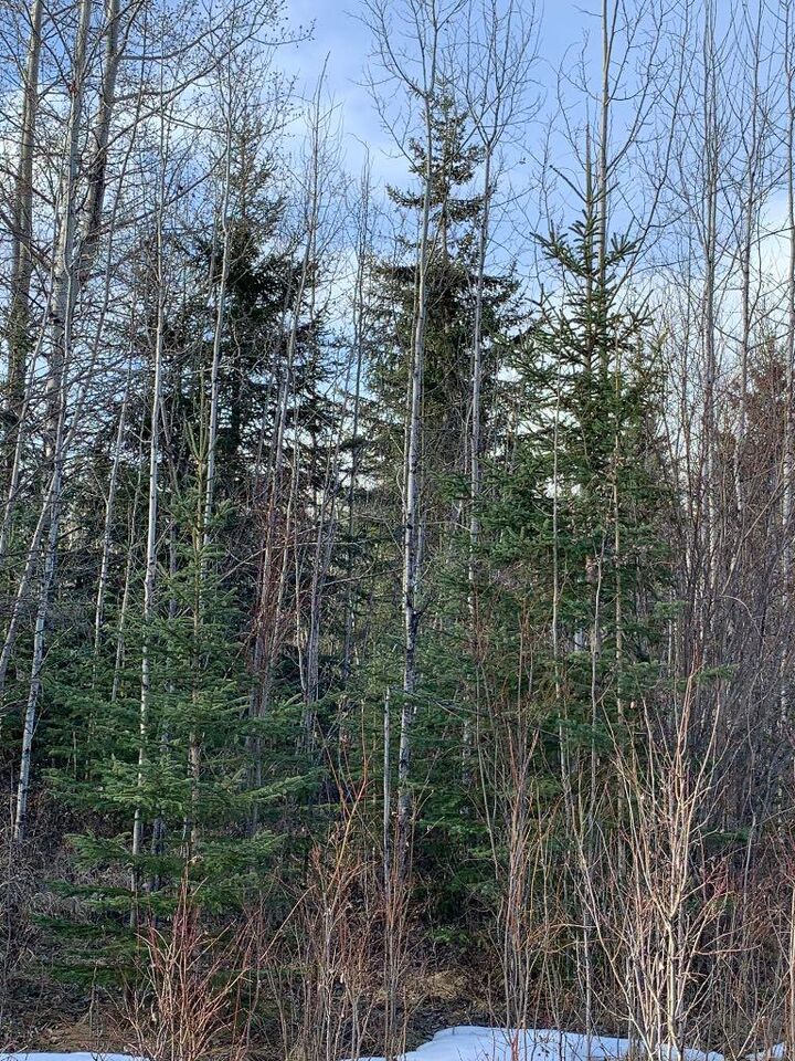 Property Photo:  14520 Township Road 562  AB T7E 1P2 