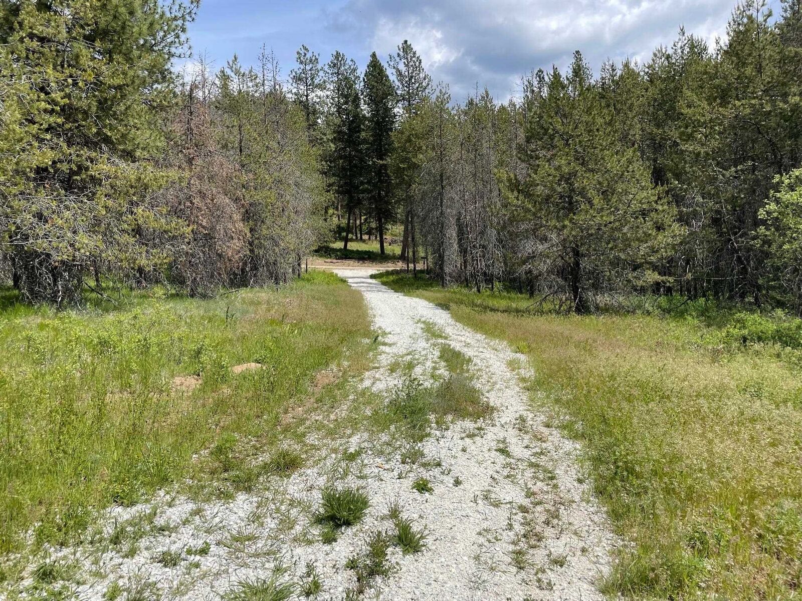 Property Photo:  4150 Norris Rd  WA 99173 