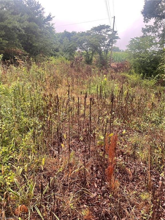 Tbd Windy Ridge Road  North Wilkesboro NC 28659 photo