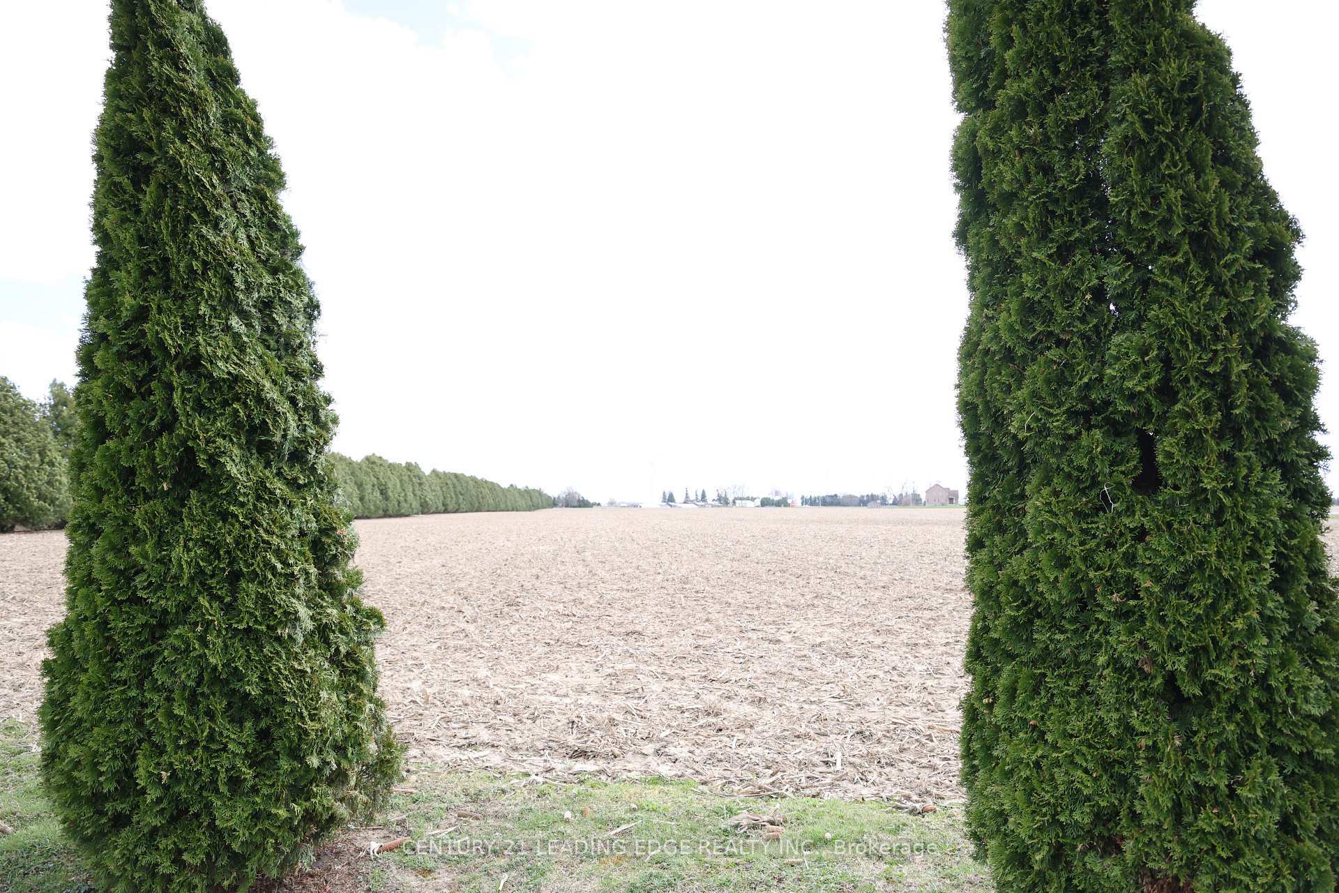 Photo de la propriété: 29133 Centre Side Road ON N0P 2M0