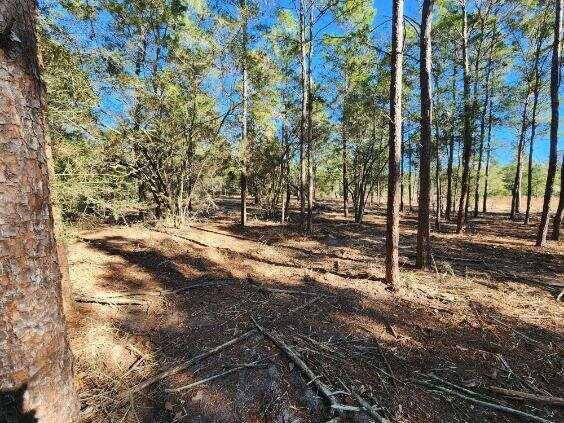 Property Photo:  1.2 Acres On Kelly Street  FL 32433 