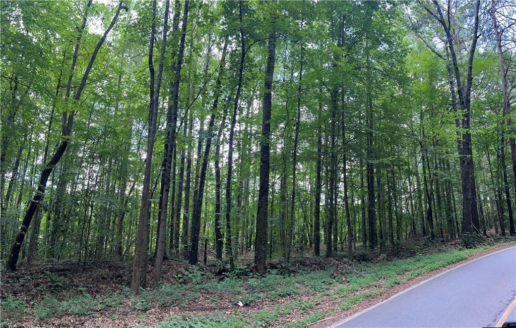 Property Photo: Tract4 S McCollum Drive GA 30114