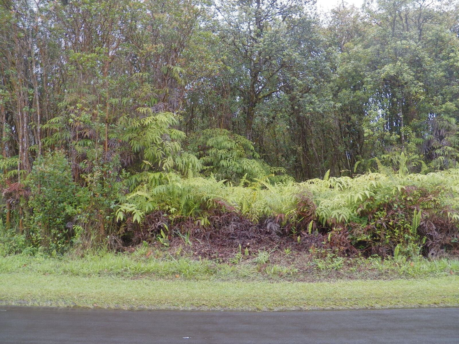 Property Photo: Pikake St HI 96771