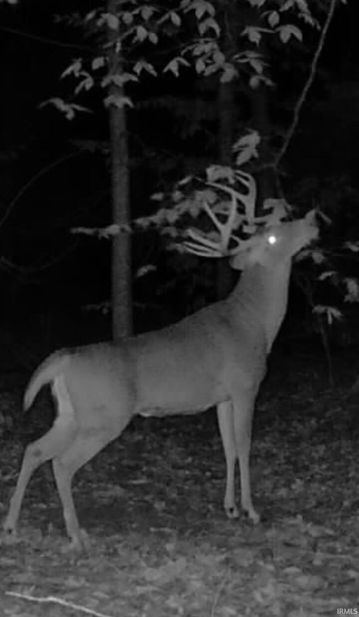 Property Photo:  1 Newark Road  IN 47459 