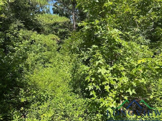 Property Photo:  Tbd E Hwy 79  TX 75652 