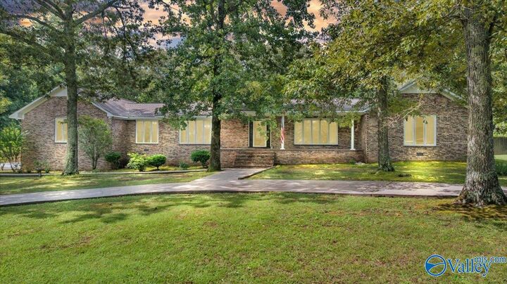 Property Photo: 182 County Road 230 AL 35752