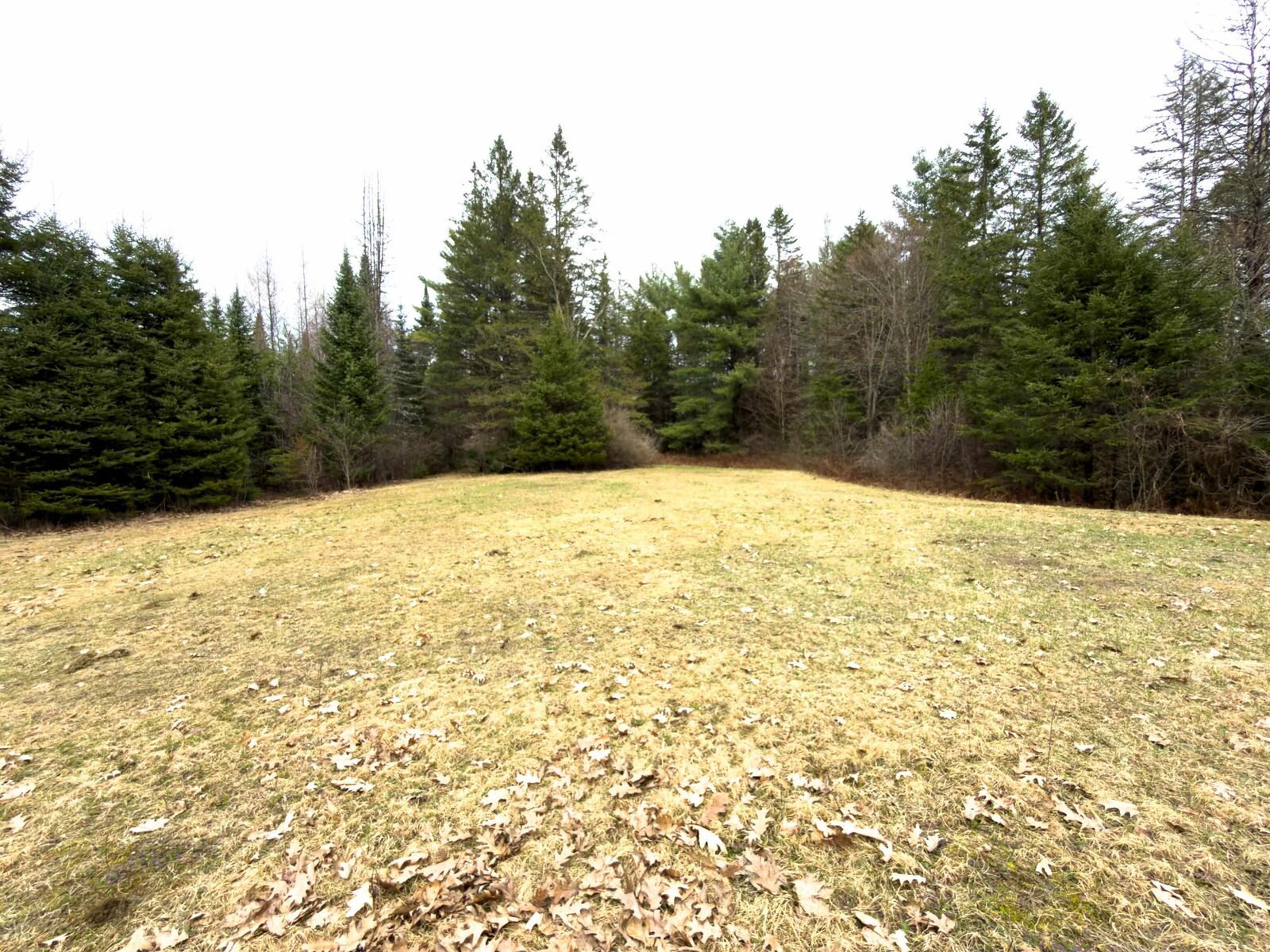 Property Photo:  31 Privacy Lane  VT 05824 