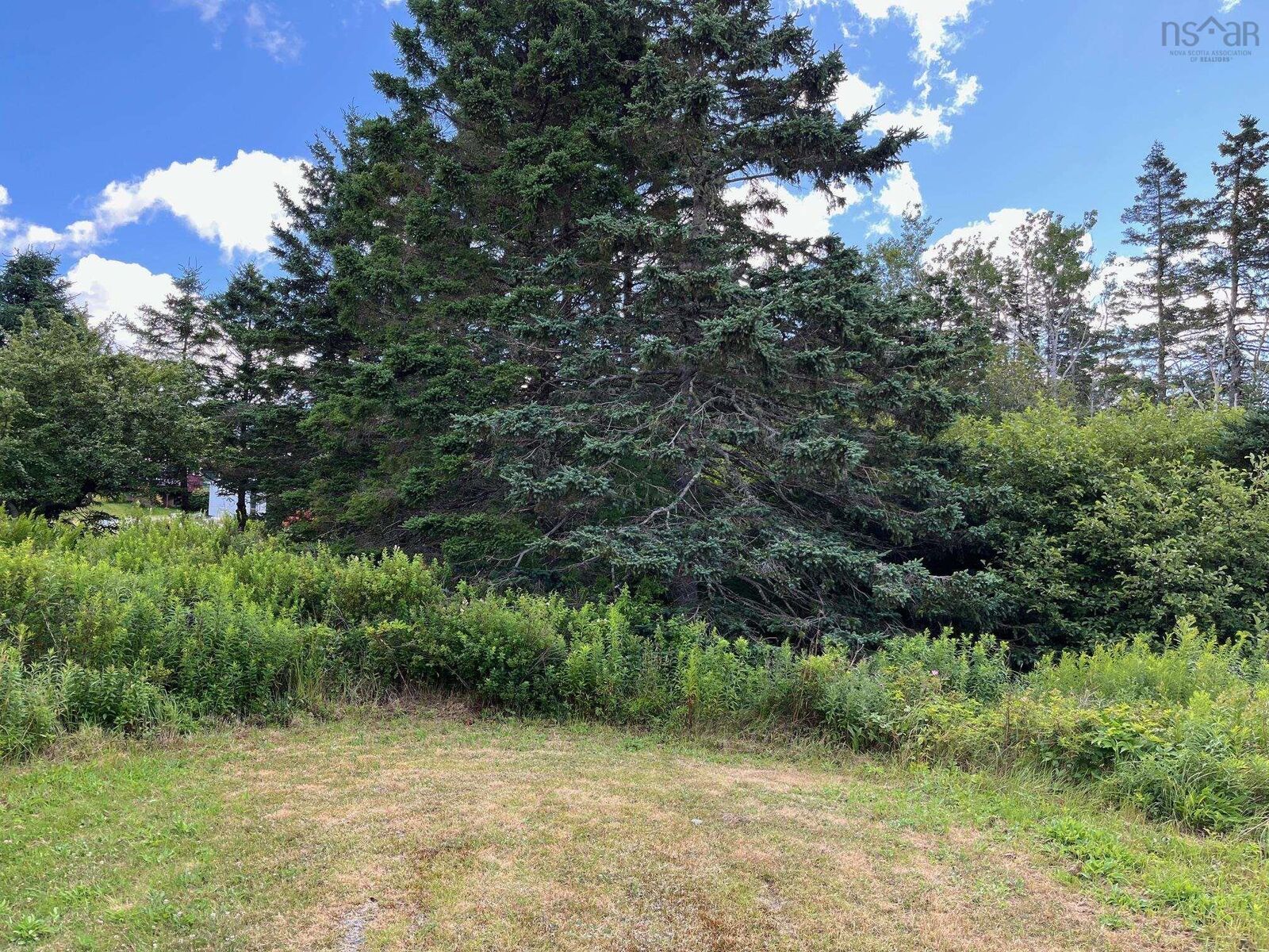 Property Photo: Lot 1 East Chezzetcook Road NS B0J 2L0