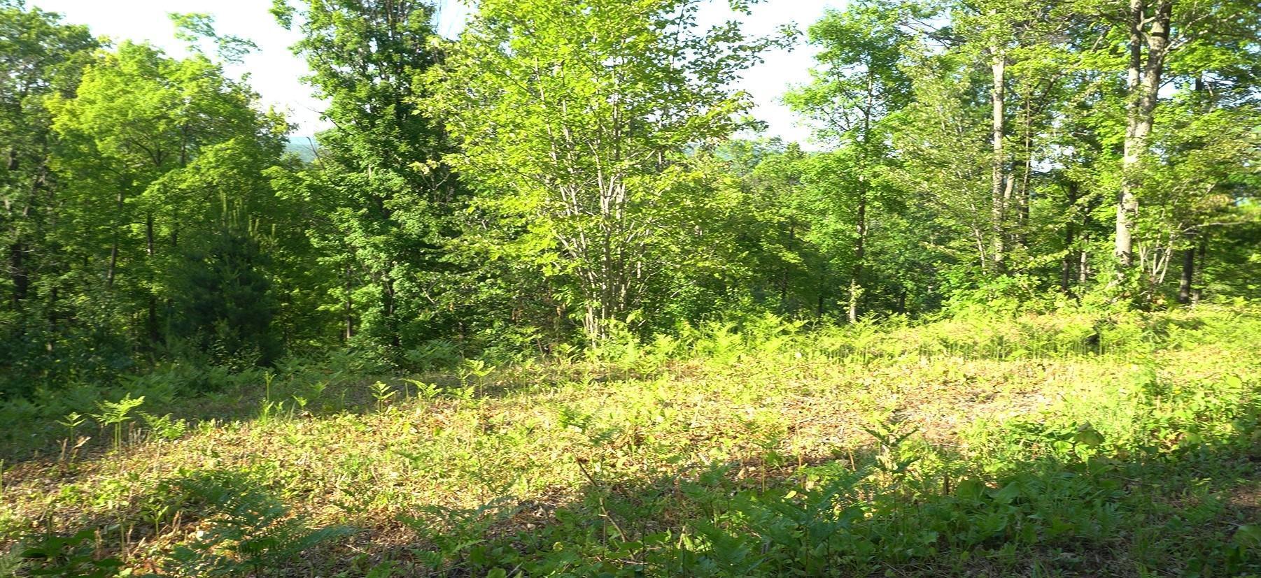 Property Photo: 83xxx - Lot 13 Ashwabay Road WI 54814