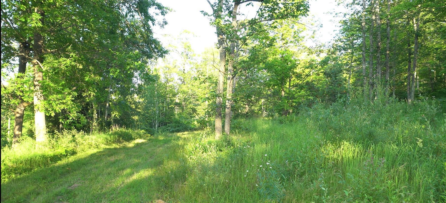 Property Photo: 83xxx - Lot 7 Ashwabay Road WI 54814
