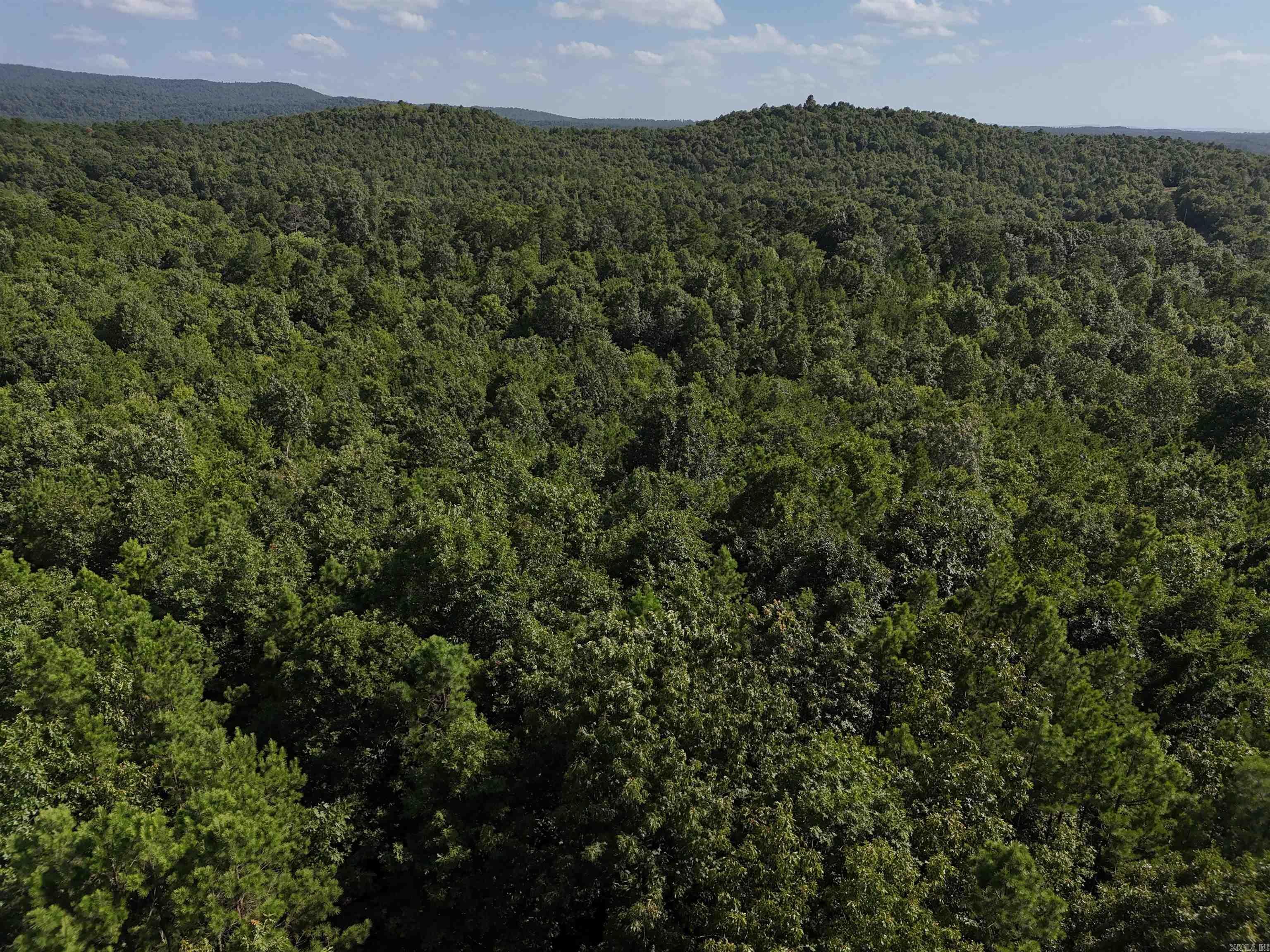 Property Photo:  Lot 6 Polk Road 78  AR 71953 