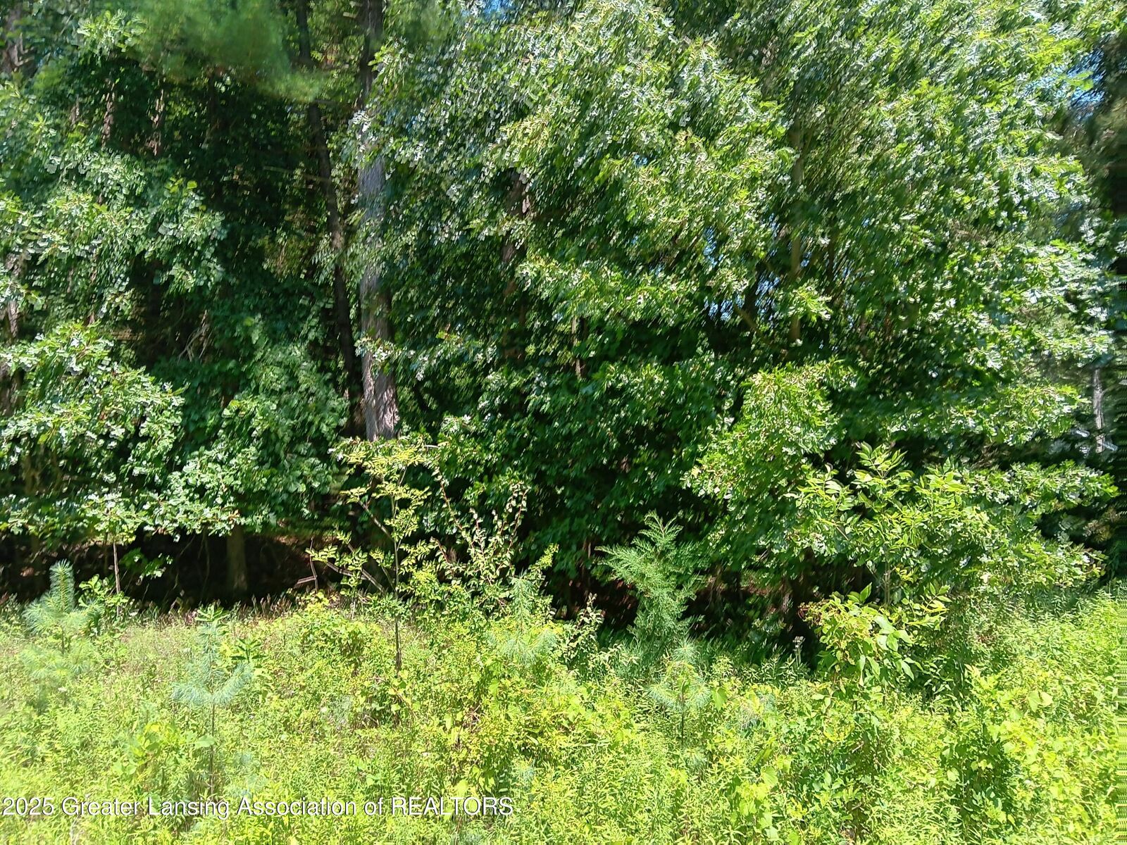 Property Photo:  