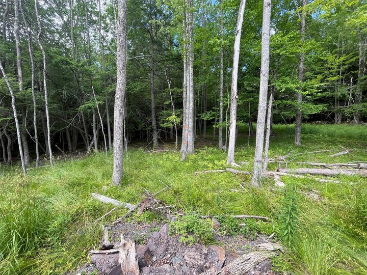 Property Photo: Tbd Boulder Brook Lot B14 Road NY 12496