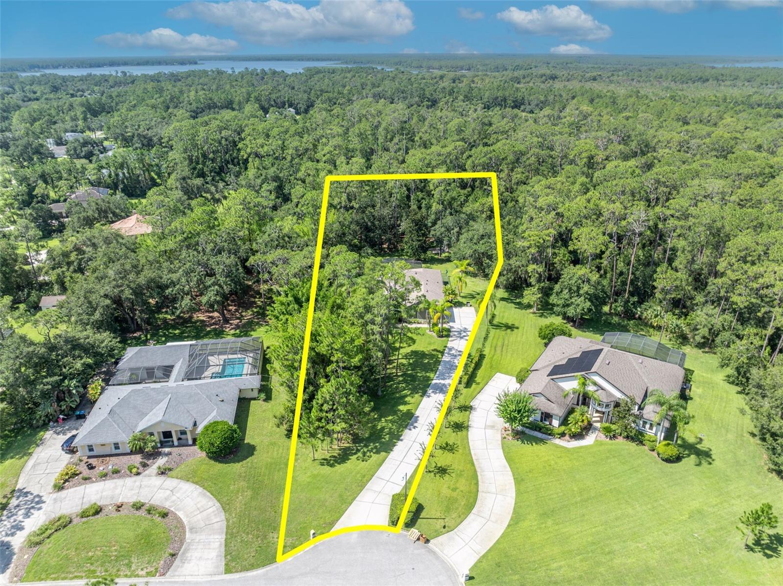 13916 Bramble Bush Court  Orlando FL 32832 photo