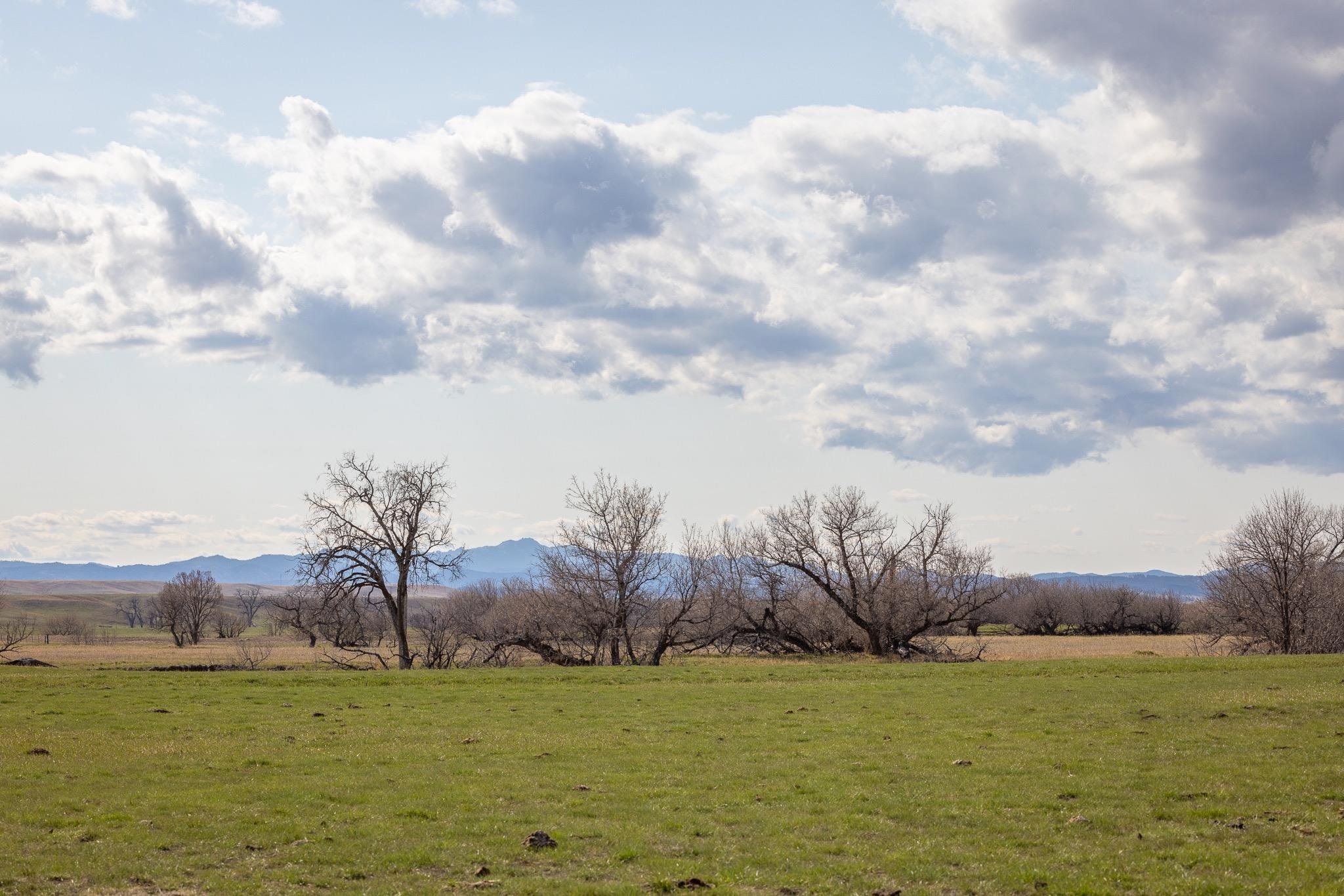Property Photo: 40 Acres Hwy 40 SD 57744