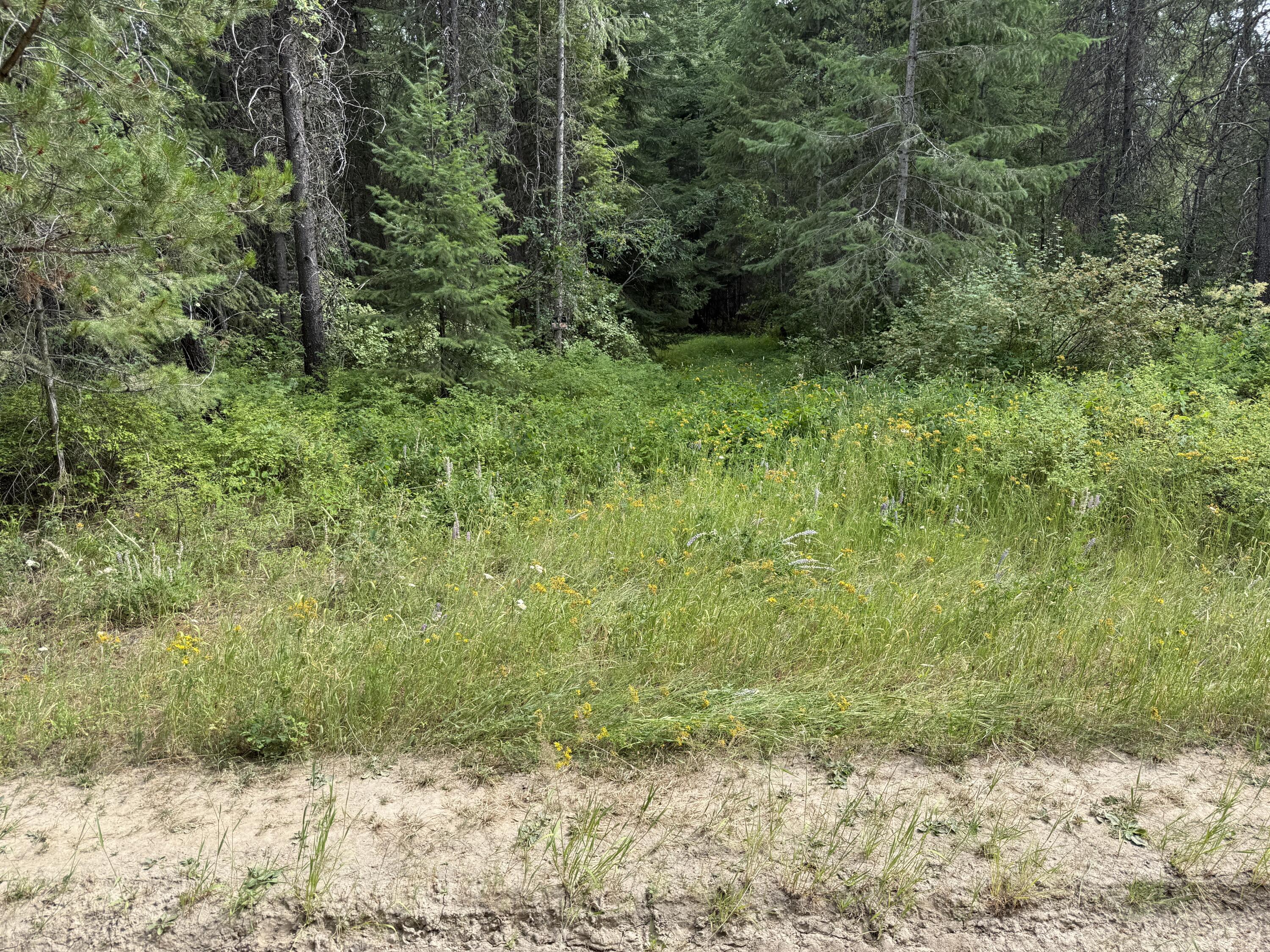 Property Photo: Lot 1 Springdale-Hunters Rd WA 99173
