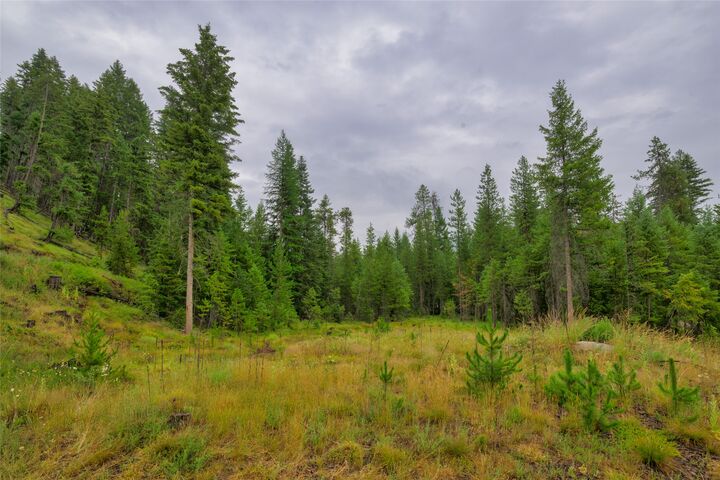 Property Photo:  Nhn Cabin City Loop Lot 50  MT 59866 