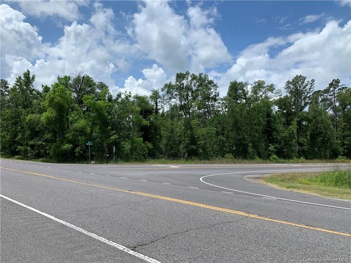 Property Photo: 0 Pine Forest Road LA 70633