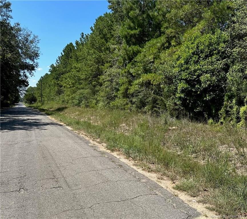 Property Photo: 0 Carpenters Bridge Road LA 70648