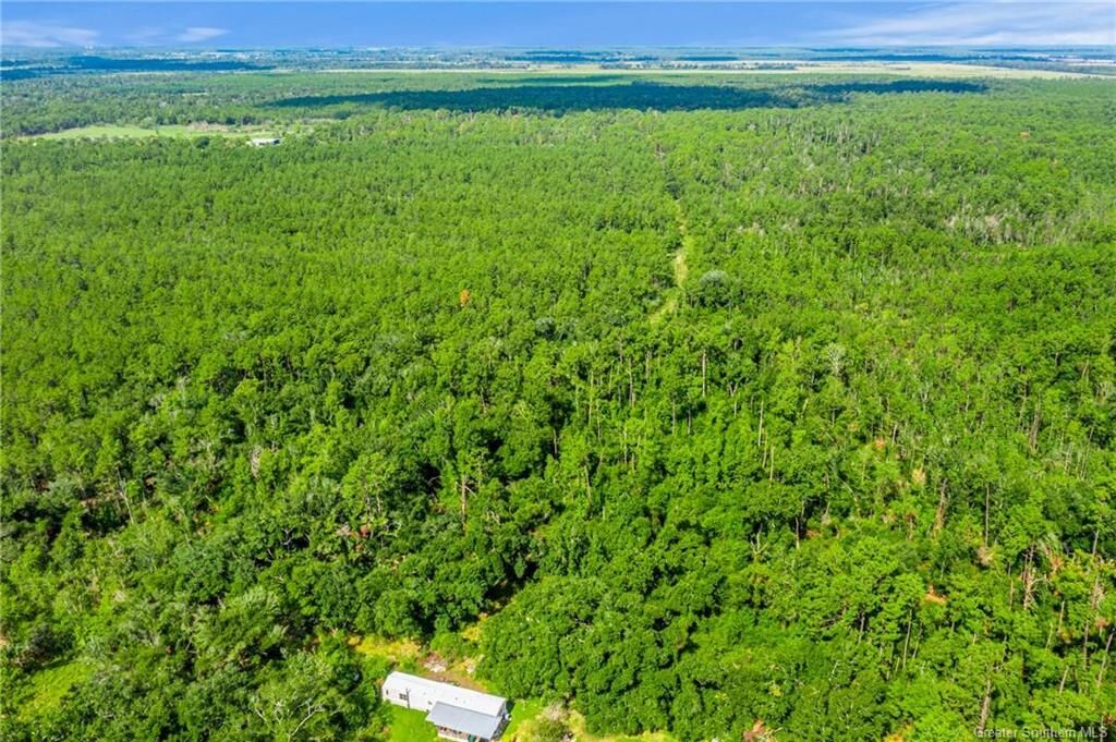 Property Photo:  4032 R E Robertson Road  LA  