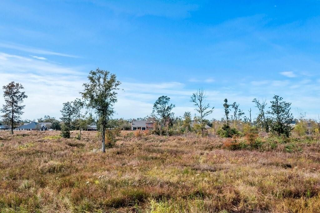 Property Photo:  4 Oakley Drive  LA 70663 