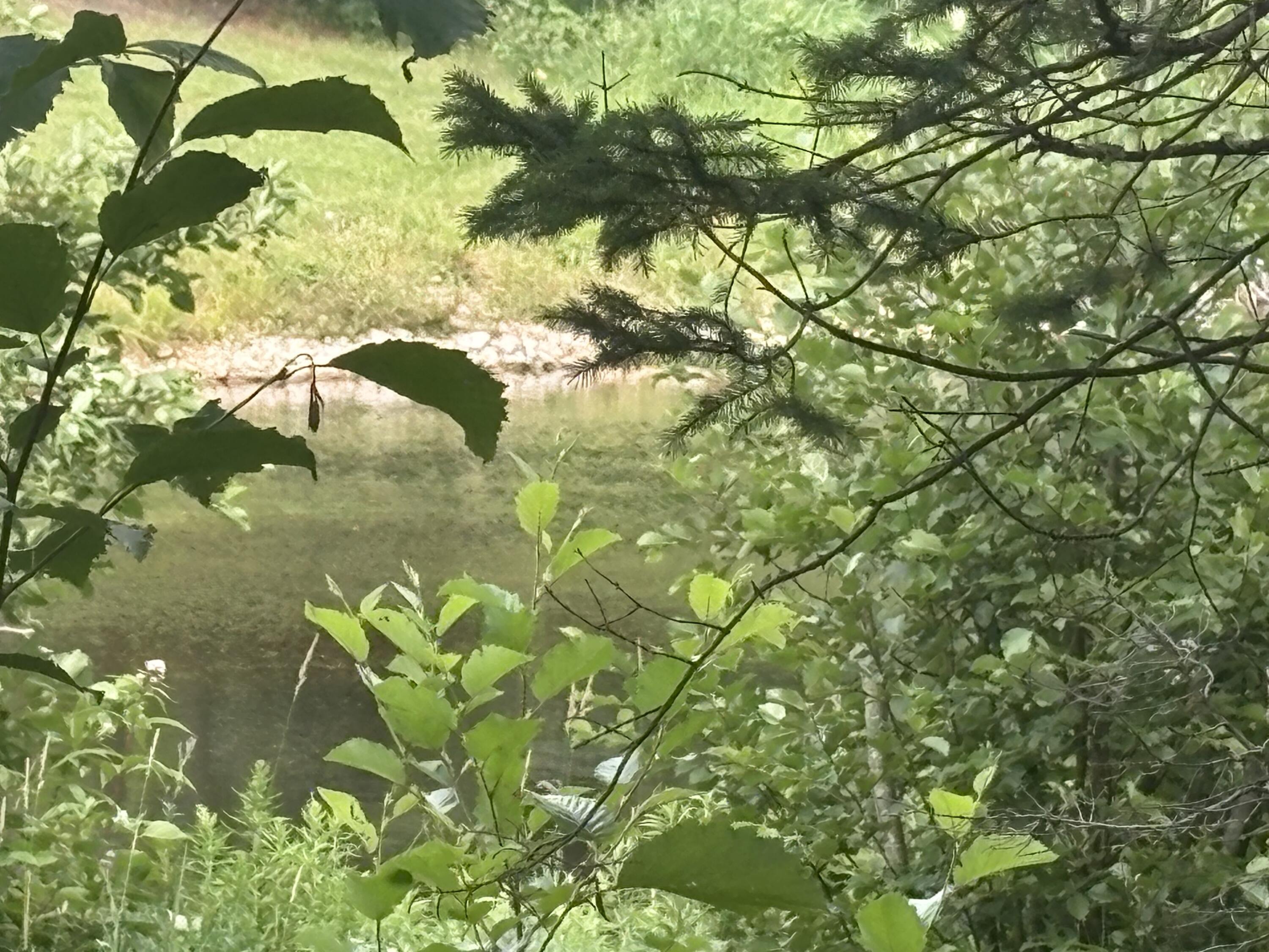 Property Photo: Lot 223 West River Rd MI 49762