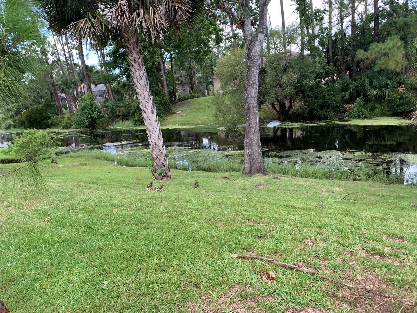 Property Photo:  51 Port Royal Drive  FL 32164 