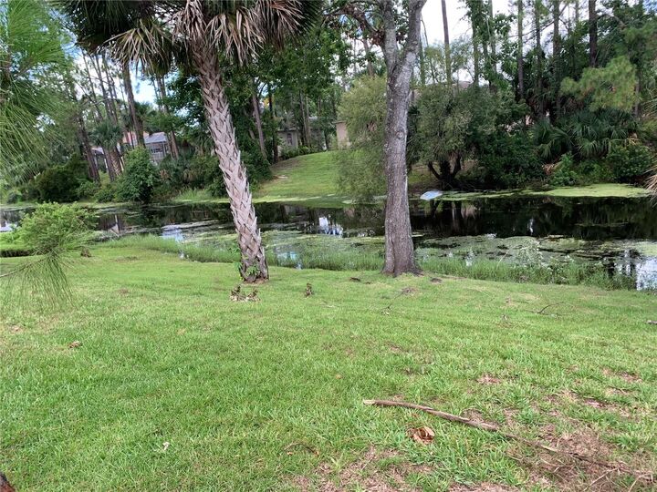 Property Photo:  51 Port Royal Drive  FL 32164 
