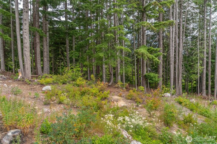 Property Photo:  14  Arlberg Place  WA 98068 