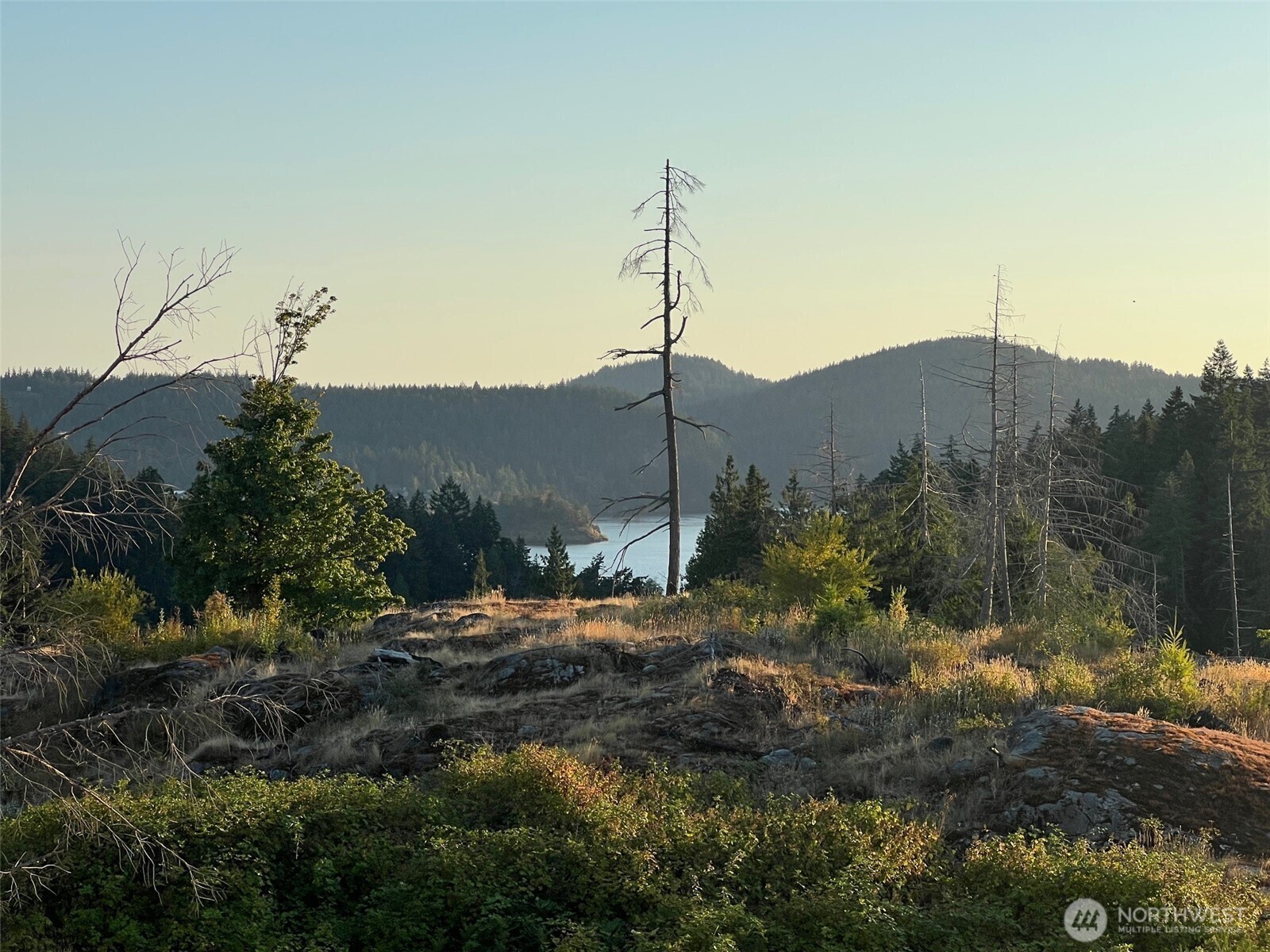 Property Photo:  7006  State Route 20  WA 98221 