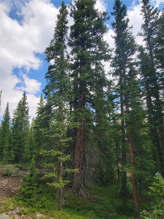 Property Photo: 461 Prunes Place CO 80440