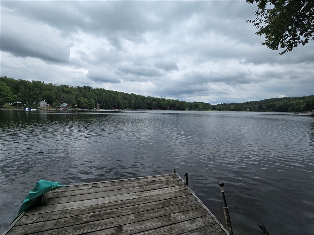 Property Photo: 1976 W Shore Road NY 14810