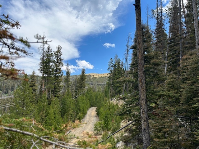 Property Photo: 269 Boulder Chief Road MT 59631