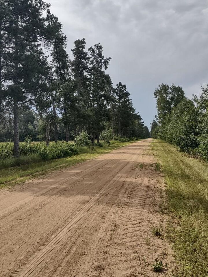 Property Photo:  Xxxx 159th Avenue  MN 56477 