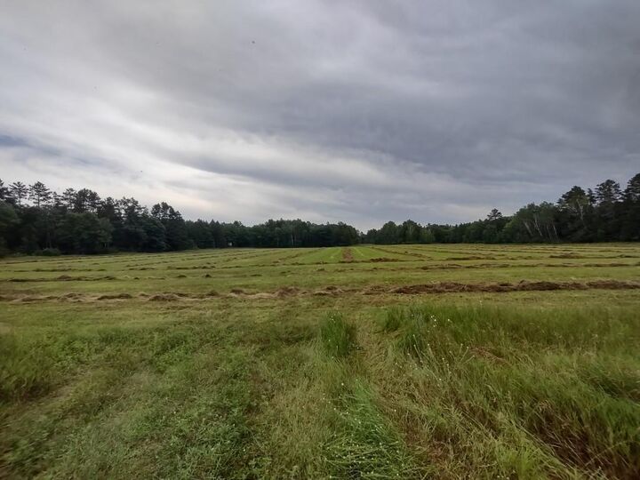 Property Photo:  Xxxx 159th Avenue  MN 56477 