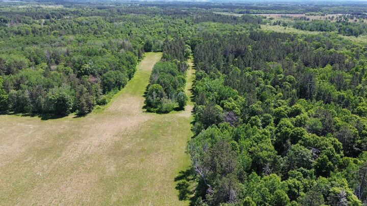 Property Photo: Xxxx 159th Avenue MN 56477