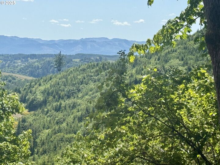 11896 SW Dupee Valley Rd  McMinnville OR 97128 photo