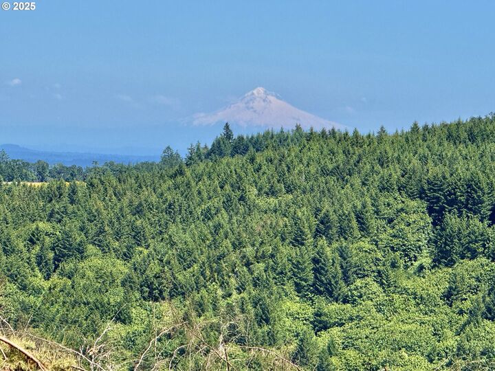 Property Photo:  11892 SW Dupee Valley Rd  OR 97128 