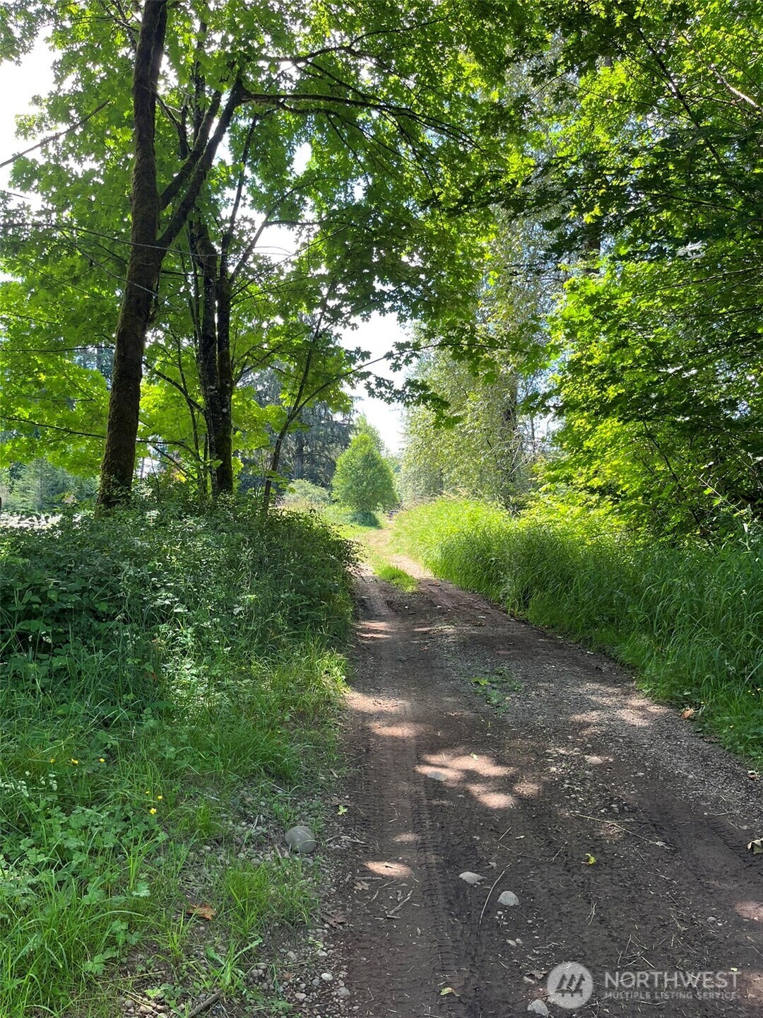 Property Photo:  0  Cougar Smith Road  WA 98563 