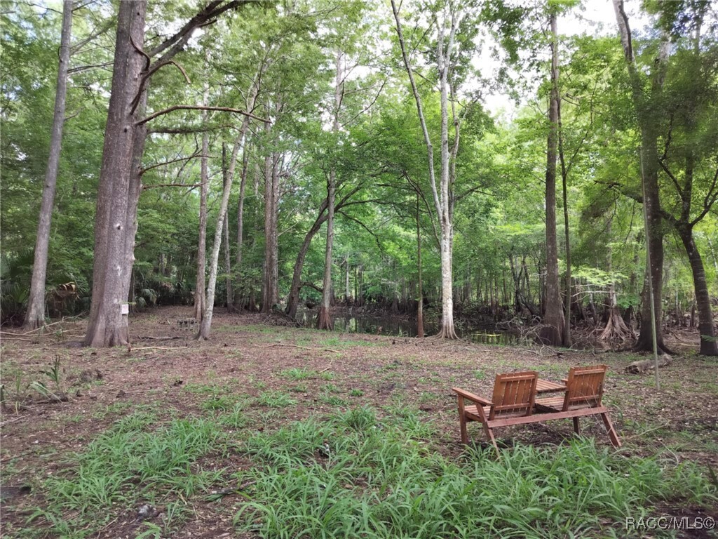 Property Photo:  523 S Tuck Point  FL 34450 