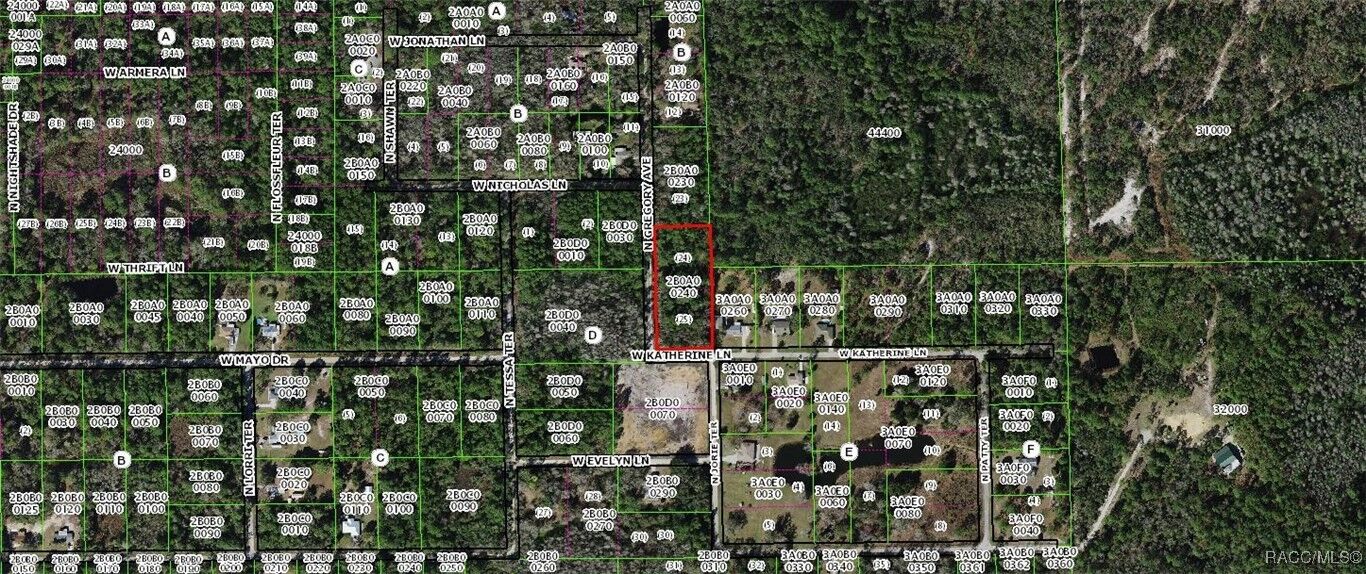 Property Photo: 1251 N Gregory Avenue FL 34429
