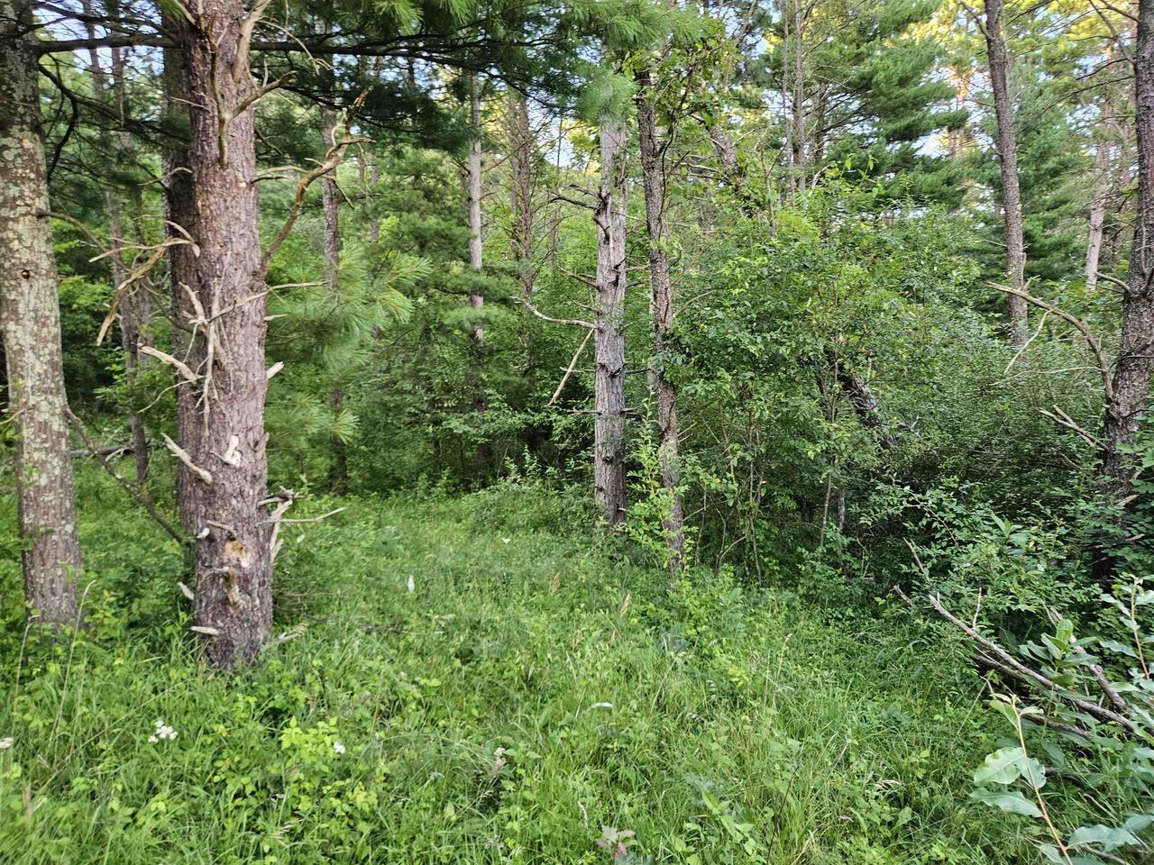 Property Photo: 00 Gale Court WI 53965