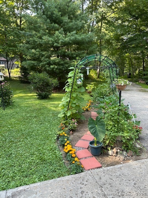 Property Photo:  19 Good Hill Road  CT 06478 