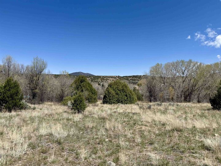 Property Photo:  5 Acres Tract 47 Old Red River Rd  NM 87556 