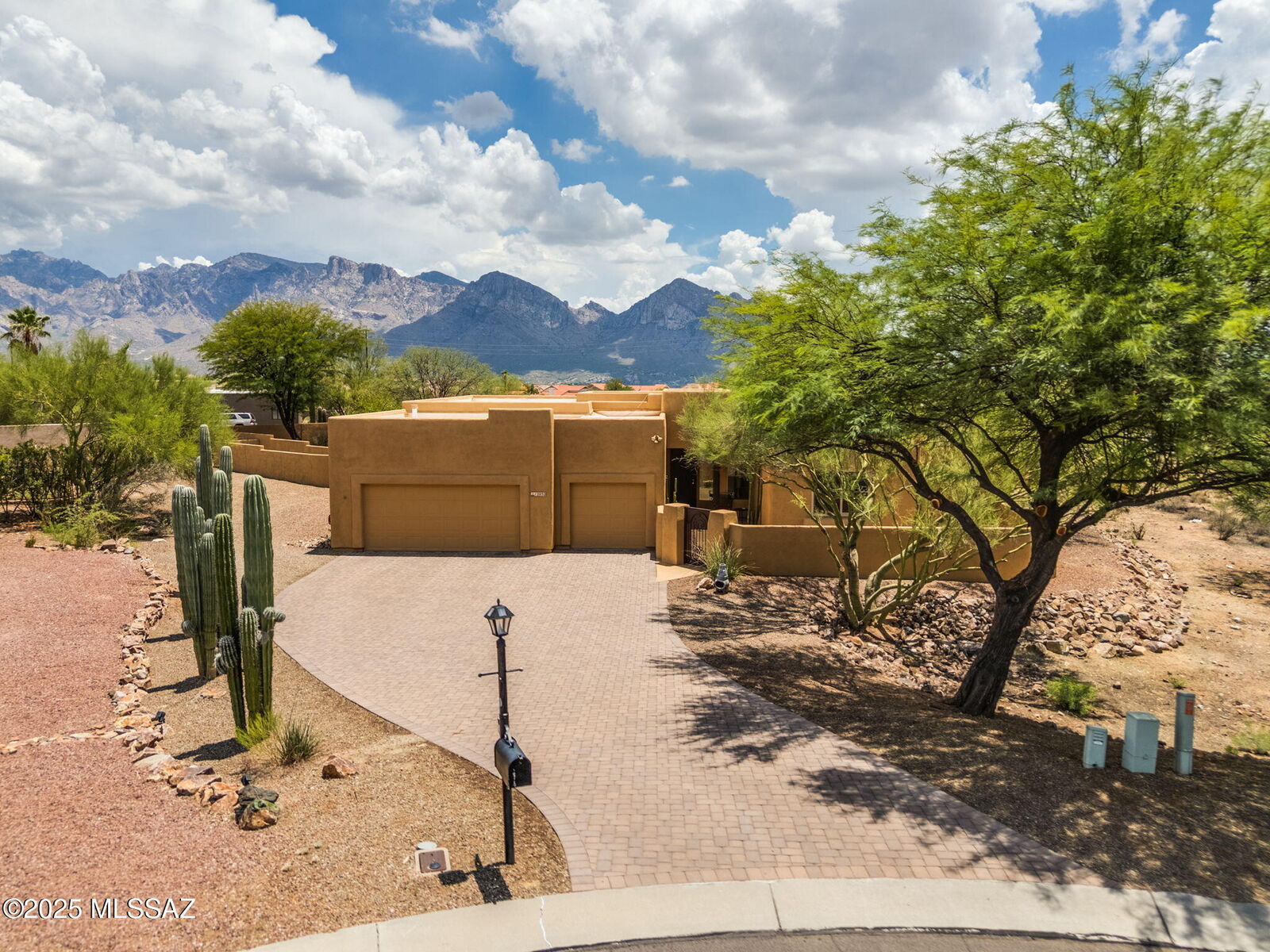 Property Photo:  12032 N Tall Grass Drive  AZ 85755 